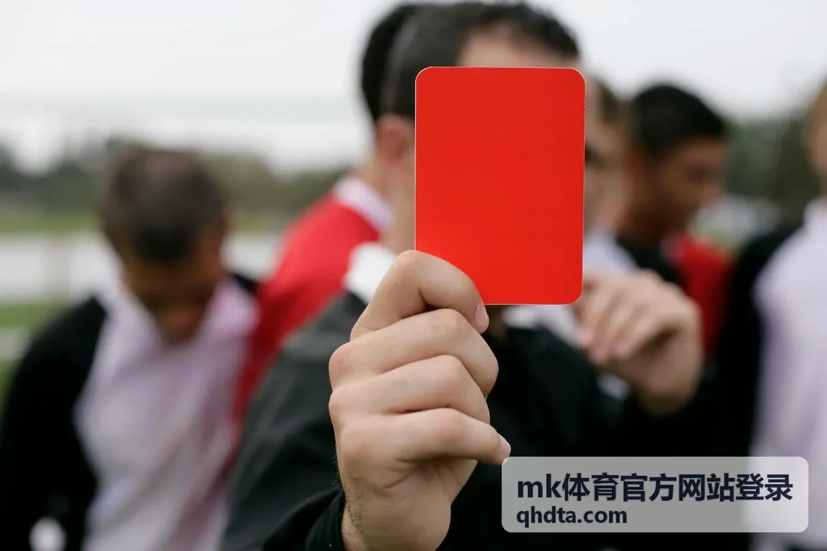 mk体育官方网站登录会员训练数据报告展示图